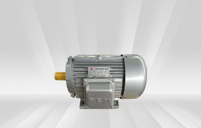 PEM Electric Motor